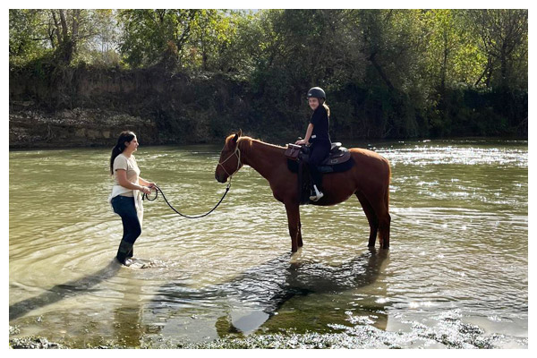 Horse riding Horse riding
